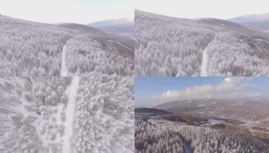 五台山冬季 雾松 大雪封山 白雪皑皑高清在线视频素材下载