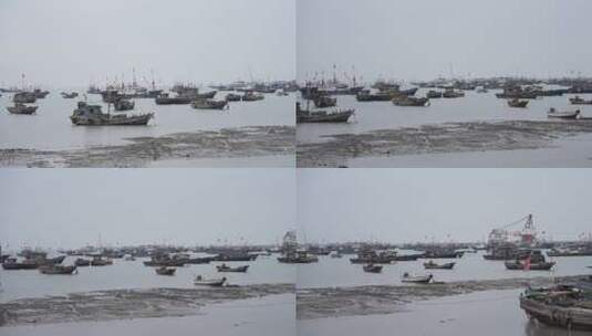 港口渔船高清在线视频素材下载