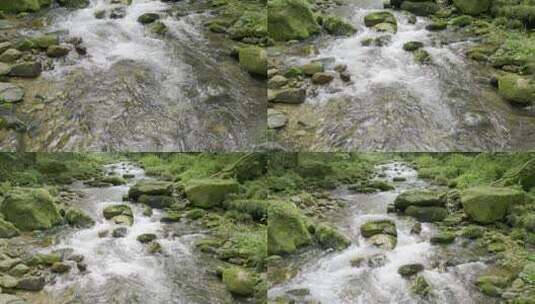 森林溪流-自然生态-山青水秀高清在线视频素材下载