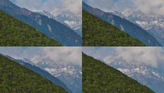 意大利阿尔卑斯山脊线上茂密的绿色森林，尖山背景高清在线视频素材下载