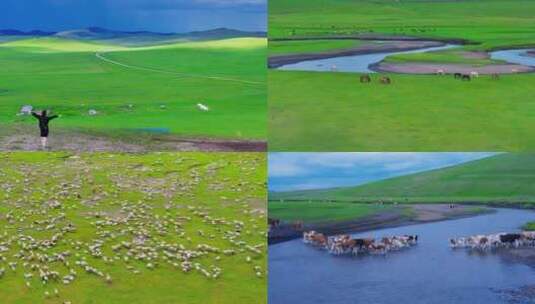 呼伦贝尔大草原牛羊成群风光素材大全高清在线视频素材下载