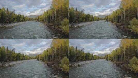新疆阿勒泰禾木河畔的秋色高清在线视频素材下载