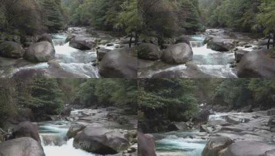 江西卧龙谷中的溪流高清在线视频素材下载