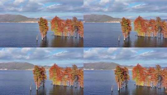 【正版4K素材】大理洱海秋景高清在线视频素材下载