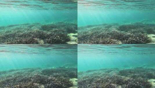 阳光照在海底高清在线视频素材下载