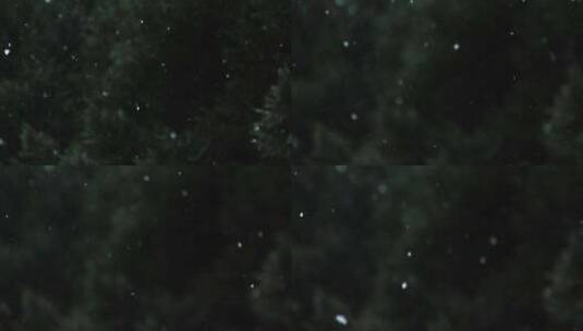 夜晚拍摄雪花飘落高清在线视频素材下载