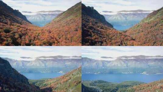 4k风景航拍秋天森林后的蓝色湖泊高清在线视频素材下载