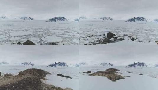 企鹅在冰海上空的南极洲空中飞行高清在线视频素材下载