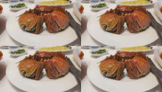 餐桌上盘子里的大闸蟹高清在线视频素材下载