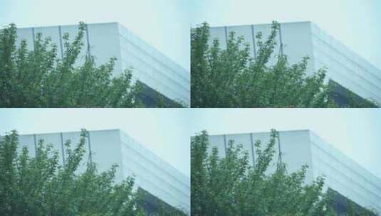 城市建筑高清在线视频素材下载