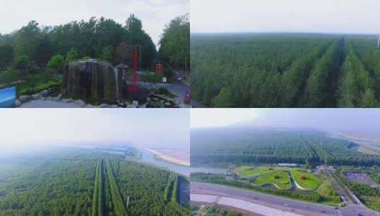 安徽合肥滨湖森林公园航拍高清在线视频素材下载