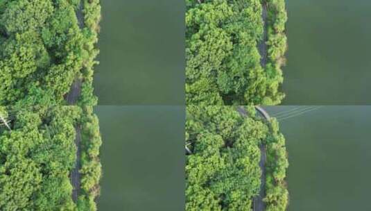 航拍衡阳南湖公园绝美风光美景高清在线视频素材下载