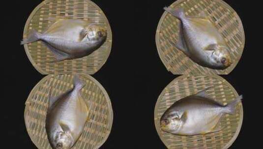 平鱼金鲳鱼金昌鱼海鲜鱼类高清在线视频素材下载