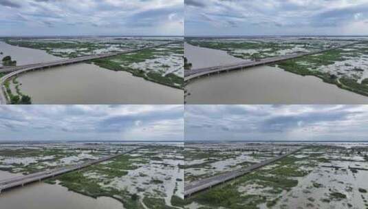 夏天汛期高邮湖、邵伯湖滩涂及高邮湖特大桥高清在线视频素材下载