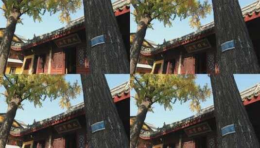 典雅苏州定慧寺古建筑高清在线视频素材下载