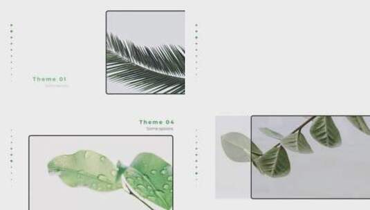 清新丛林植物幻灯片过渡照片展示AE模板高清AE视频素材下载