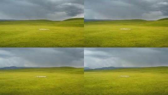 新疆大草原上的羊群高清在线视频素材下载