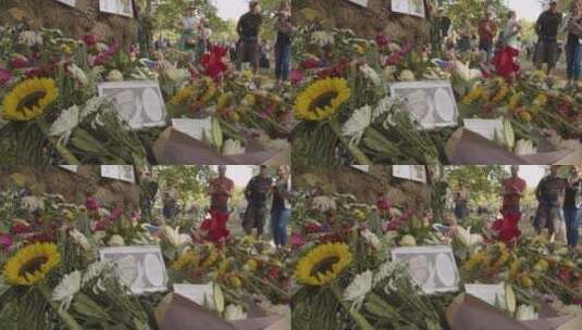 绿色公园成堆的花卉贡品和哀悼者特写镜头高清在线视频素材下载