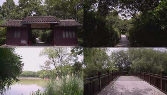杭州国家西溪湿地公园周家村入口4K视频素材高清在线视频素材下载