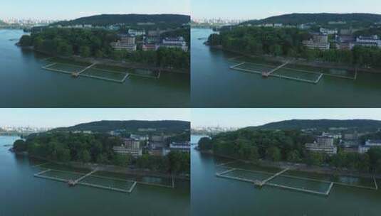 武汉跳东湖游泳4K镜头高清在线视频素材下载