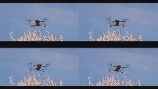 无人机飞起高清在线视频素材下载