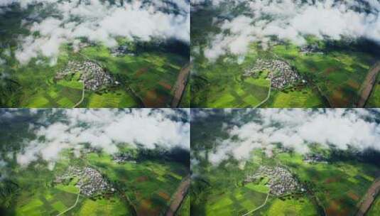 云雾下的乡村绿色稻田高清在线视频素材下载
