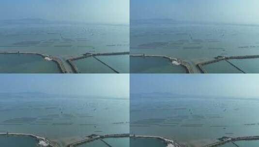 阳西海岸线生蚝养殖场4K航拍视频高清在线视频素材下载