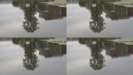 树木水面倒影湖面倒影高清在线视频素材下载