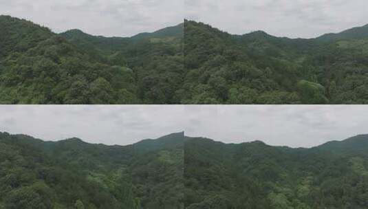 Z 航拍 绿树青山 森林 山脉高清在线视频素材下载