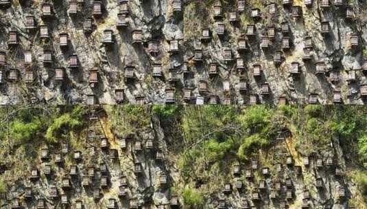 航拍湖北旅游神农架景区蜂箱蜂巢高清在线视频素材下载