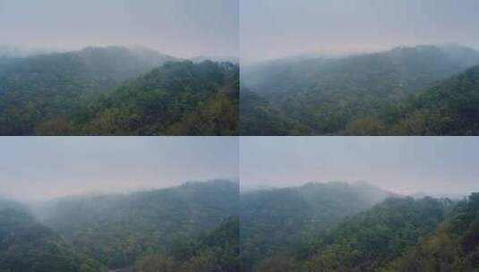 4K 山 雾气 端砚 云雾缭绕 森林云雾大自然高清在线视频素材下载