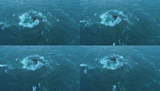 英国-科雷夫雷肯海湾-漩涡5-58高清在线视频素材下载