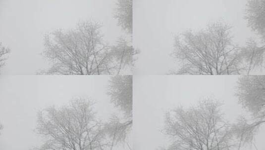 雪后场景1高清在线视频素材下载