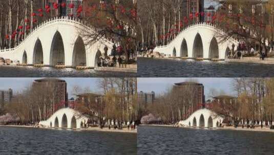 推出镜头北京玉渊潭公园湖上的石拱桥高清在线视频素材下载