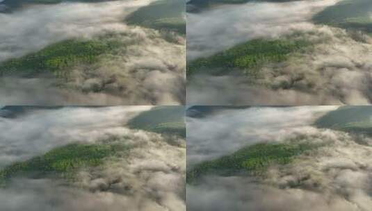 航拍山林迷雾高清在线视频素材下载