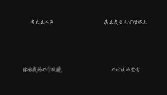 刘若英 - 后来歌词高清在线视频素材下载