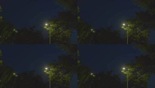 夜色下的路灯高清在线视频素材下载