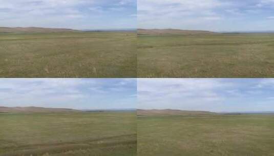 西伯利亚的春天草原高清在线视频素材下载