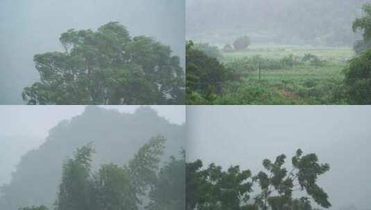 暴雨拍打树木摆动的树枝台风倾盆大雨自然高清在线视频素材下载