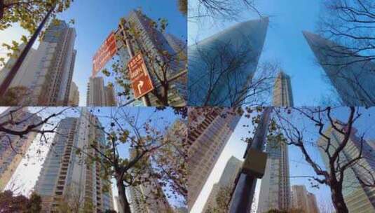透过树枝叶子仰望陆家嘴上海中心大厦城市风高清在线视频素材下载