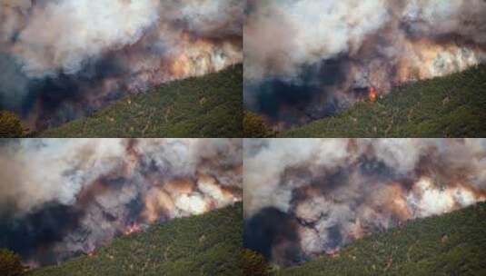 鸟瞰森林火灾高清在线视频素材下载