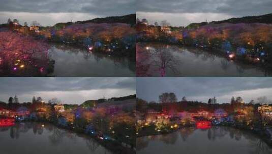 航拍武汉东湖樱花园夜景灯光秀樱花夜樱高清在线视频素材下载