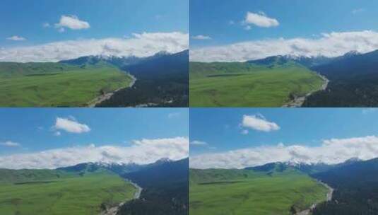 新疆伊利恰西草原高清在线视频素材下载