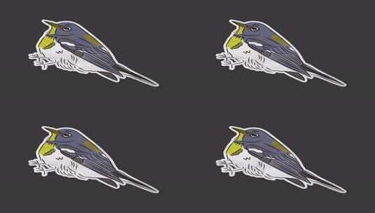 林地鸟类贴纸包高清在线视频素材下载
