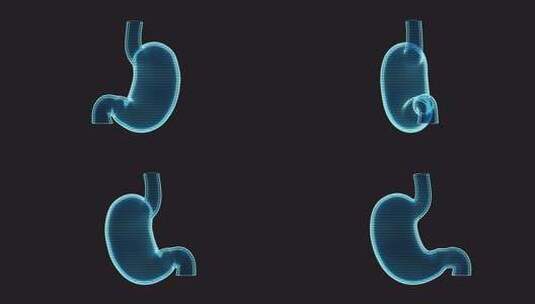 具有全息效果的胃循环动画，3d渲染。高清在线视频素材下载