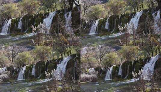 九寨沟箭竹海瀑布水中青苔流水岩石秋天水景高清在线视频素材下载