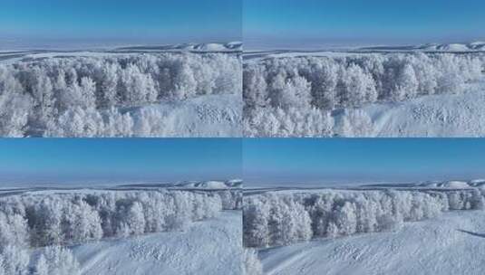 苍茫雪原上银装素裹白桦林高清在线视频素材下载