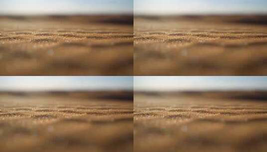 金色光斑背景特写高清在线视频素材下载