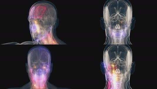 创意男性头部解剖高清高清在线视频素材下载