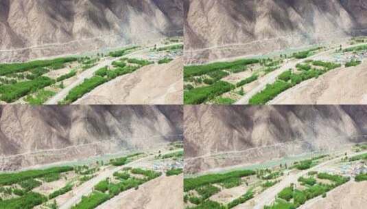 西藏拉萨山南森林树木公益航拍高清素材高清在线视频素材下载